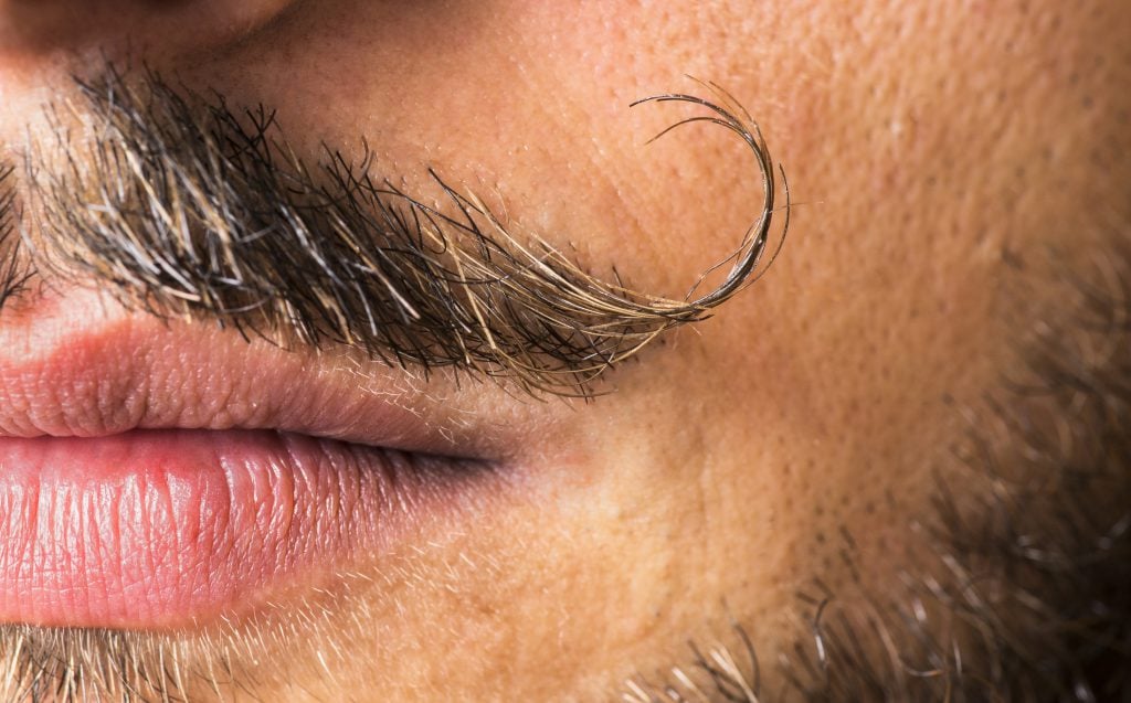 Movember 2016 - Mustache Quiz