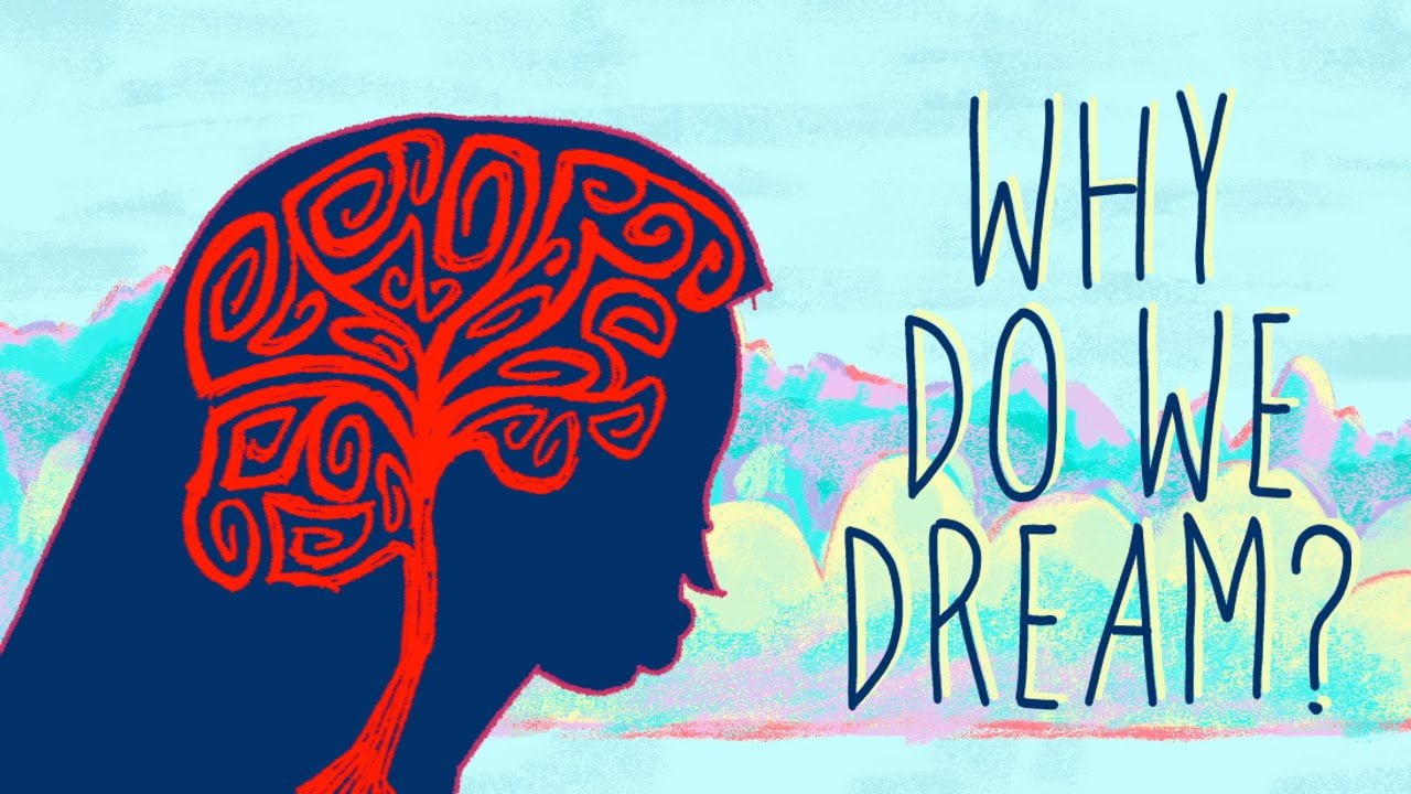 Why Do We Dream?