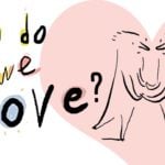 Why do we Love?